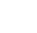 AP Logo